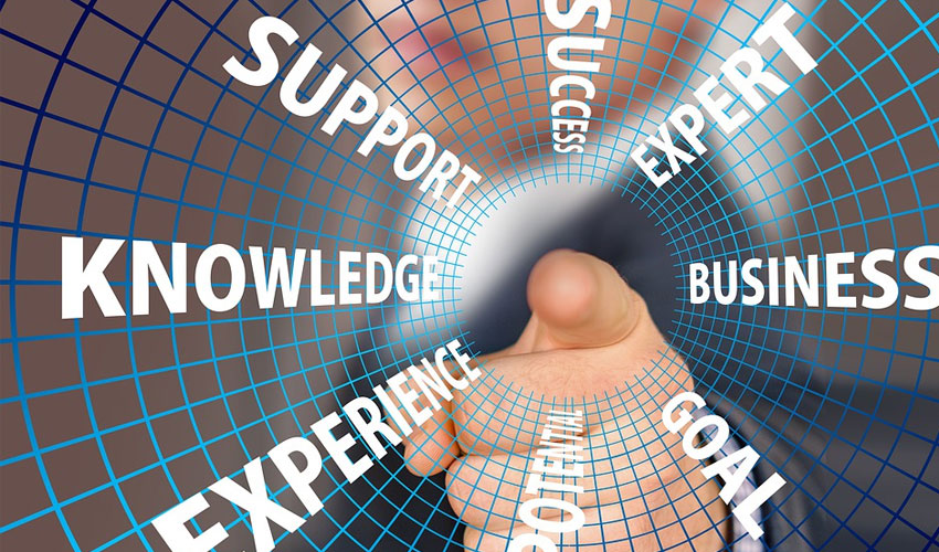 school consultancy Career Counselling services